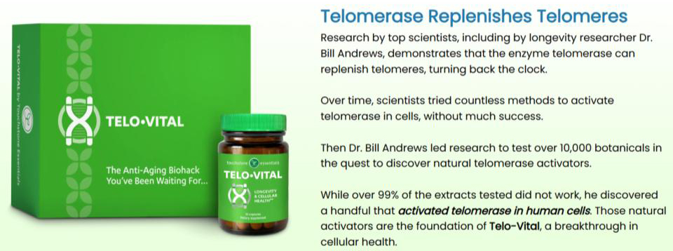Telo-Vital - Telomerase Replenishes Telomeres